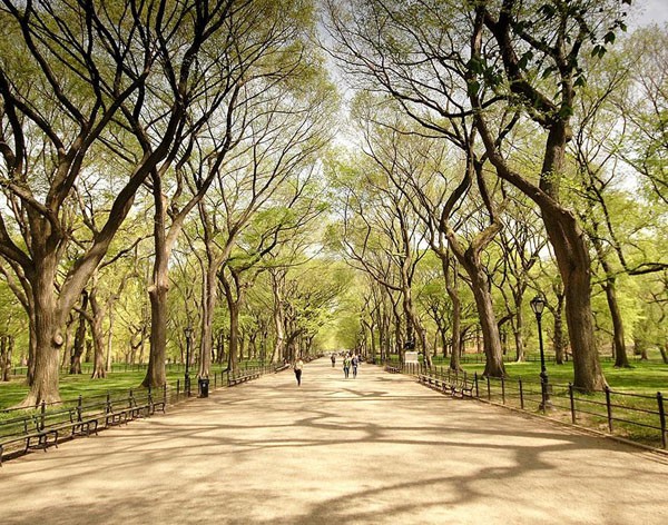 Inaugurado em 1857, o Central Park, em Nova York, tem 341 hectares de extensão e é popularmente chamado de oásis do deserto de concreto (Foto: Reprodução)