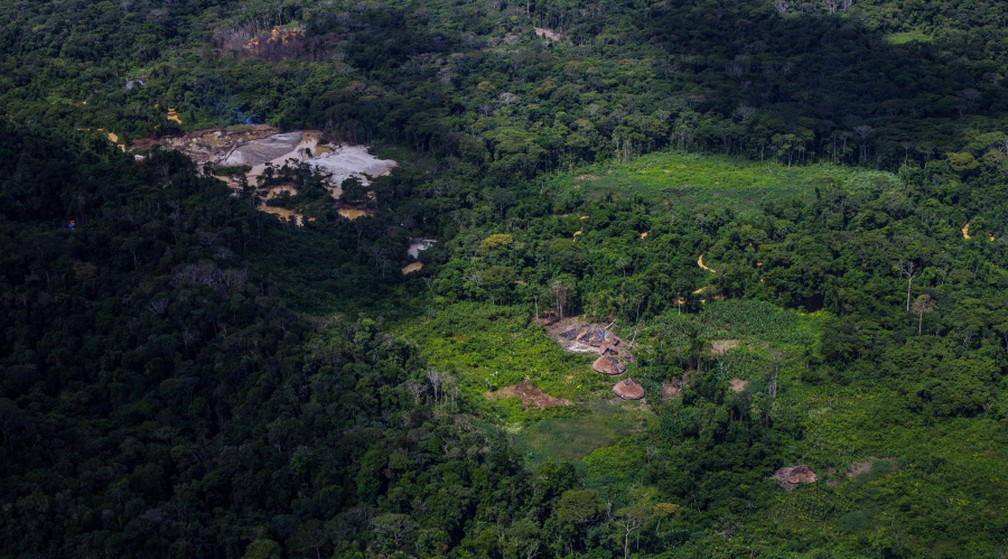 Comunidade Homoxi, na Terra Indígena Yanomami — Foto: Reprodução/Instituto Socioambiental