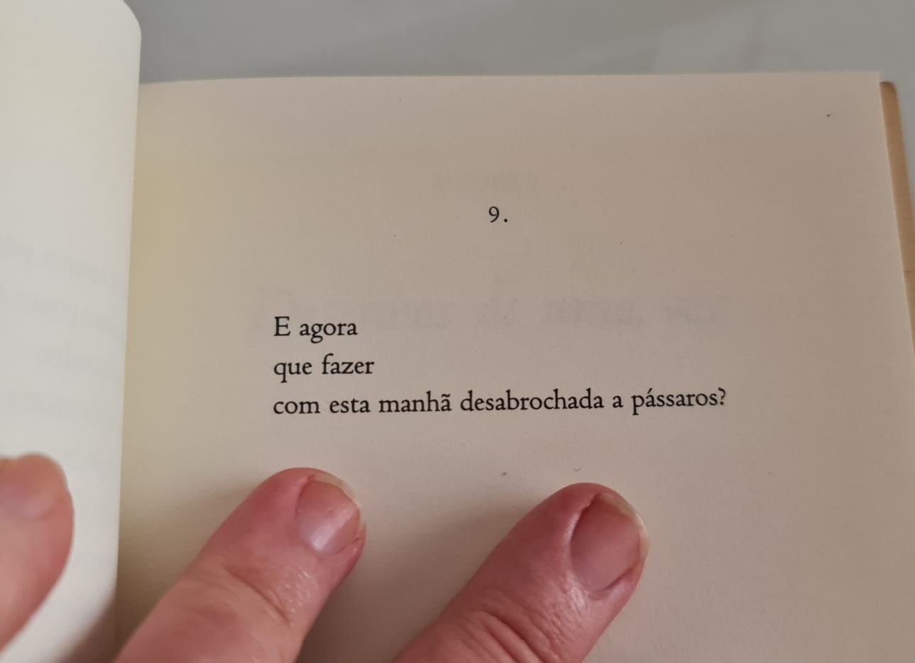 Poema de Manoel de Barros