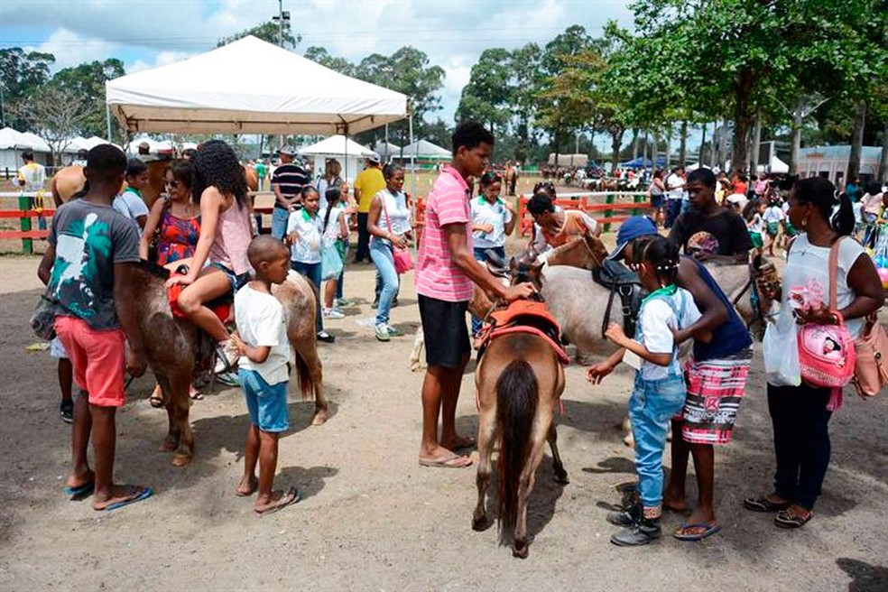 Os pôneis são atrações que atraem a criançada para a Expofeira (Foto:  Washigton Nery/Divulgação)