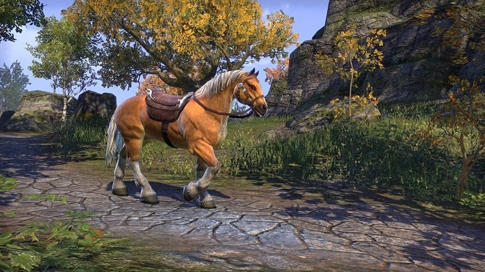 A The Elder Scrolls Online: Gold Edition vem com quatro DLCs e uma montaria (Foto: Divulgação/Bethesda)