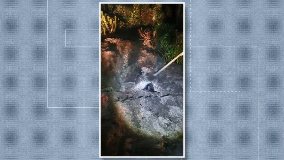 Homem enterrou corpo da mulher em uma cova rasa — Foto: Reprodução/TV Gazeta 