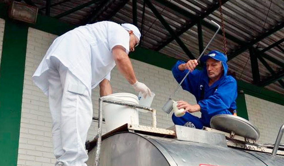 Técnicos do Mapa recolhem amostras de leite em caminhão durante a sétima etapa da Operação Leite Compensado no Norte do RS — Foto: Divulgação/MP