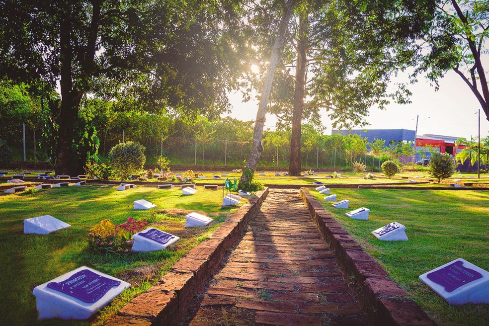 A escolha pelo sepultamento animal ?, inclusive, ecol?gica ? Foto: Memorial dos Animais de Agudos /Divulga??o 
