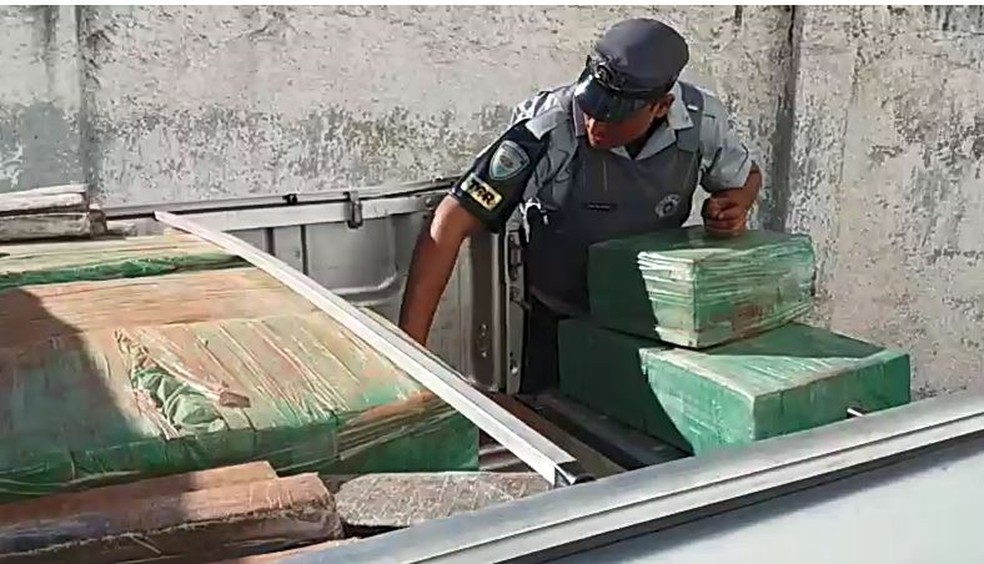 Motorista confessou que foi contratado para levar a droga até a capital paulista; toda a maconha foi apreendida — Foto: Polícia Rodoviária Bauru/Divulgação