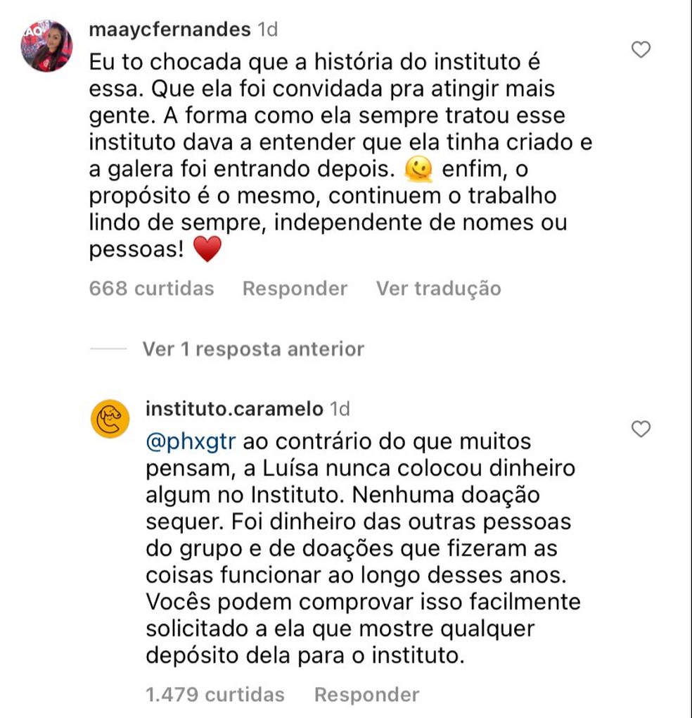 Instituto Luisa Mell muda de nome e diz que ativista nunca fez doações para o local. — Foto: Reprodução / Instagram