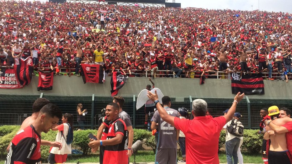 Flamengo comemora título da Copinha (Foto: Reprodução)