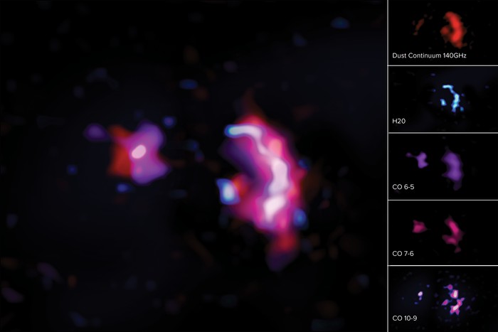 Cientistas detectam sinais de água em galáxia massiva (Foto: Alma (ESO/NAOJ/NRAO)/S. Dagnello (NRAO))