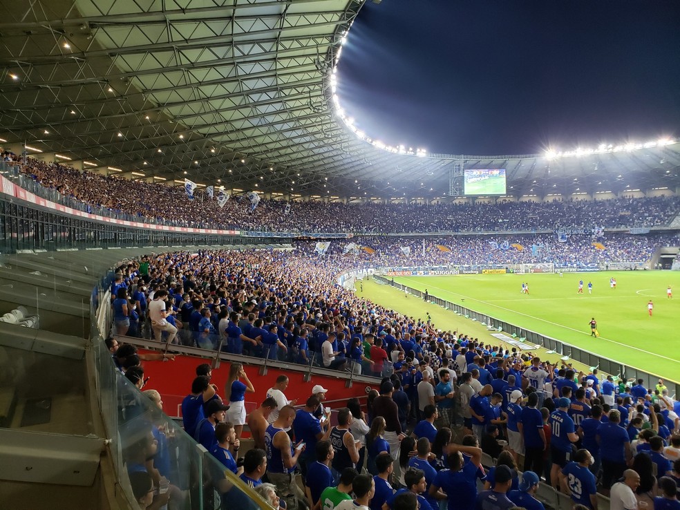 Torcida do Cruzeiro para Cruzeiro x Brusque — Foto: Divulgação/Mineirão