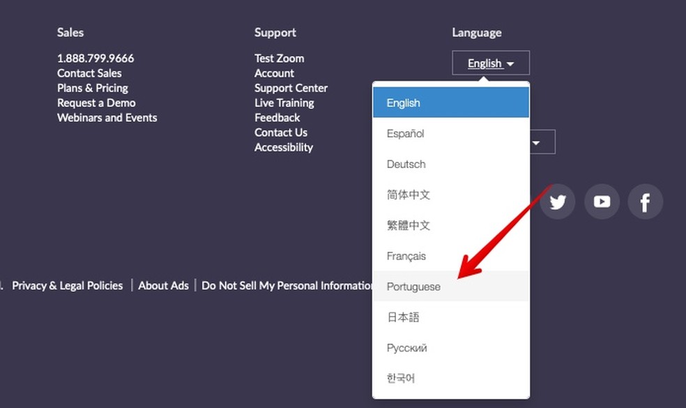 como colocar o zoom em portugues no pc