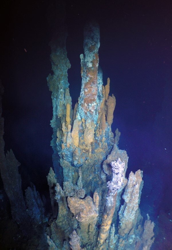 Chaminé de ventilação presente no campo hidrotermal  (Foto: WHOI/NDSF/ROV Jason/NSF)