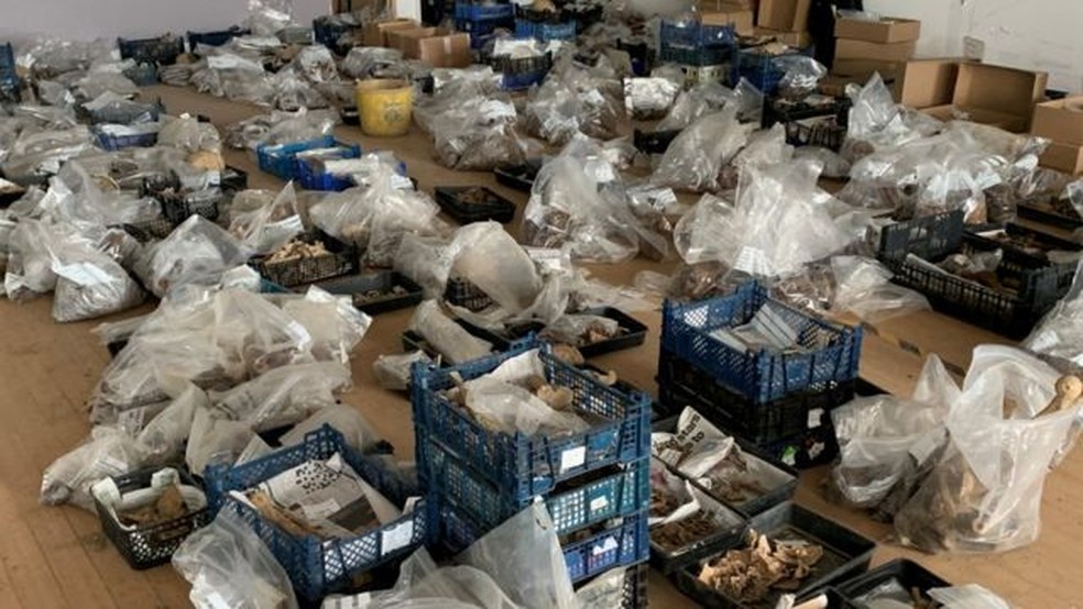 Centenas de restos mortais e artefatos foram desenterrados no sítio arqueológico — Foto: BBC
