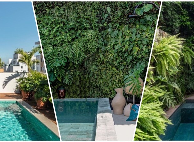 Paisagismo para piscina: 9 projetos para se inspirar - Casa e Jardim |  Paisagismo