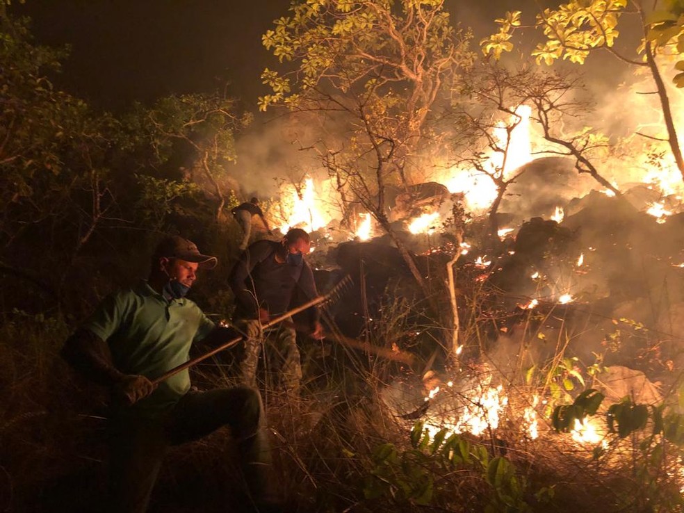 Brigadistas voluntários se uniram para combater incêndio na Serra da Lua, em Monte Alegre — Foto: Ideflor-Bio/Divulgação