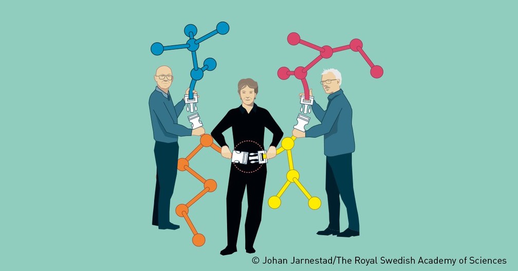 Entre muitas outras aplicações práticas, o trabalho do trio permitiu que tratamentos contra o câncer possam ser mais direcionados, afirmou o comitê do Nobel. — Foto: Johan Jarnestad/The Royal Swedish Academy of Sciences
