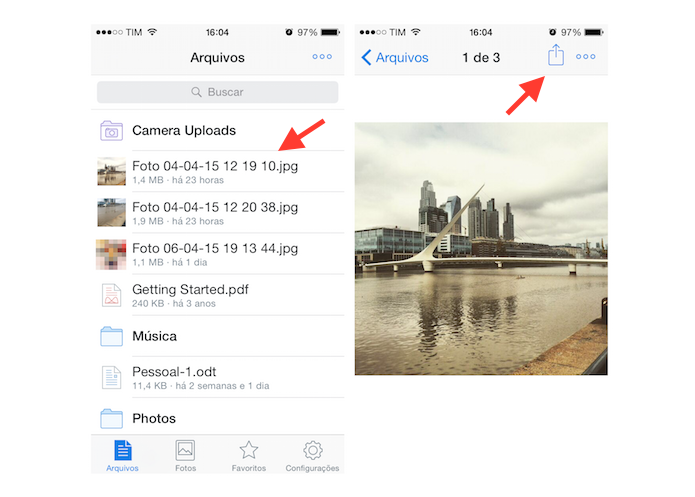 Acessando as opções de compartilhamento de uma imagem no Dropbox para iPhone (Foto: Reprodução/Marvin Costa)