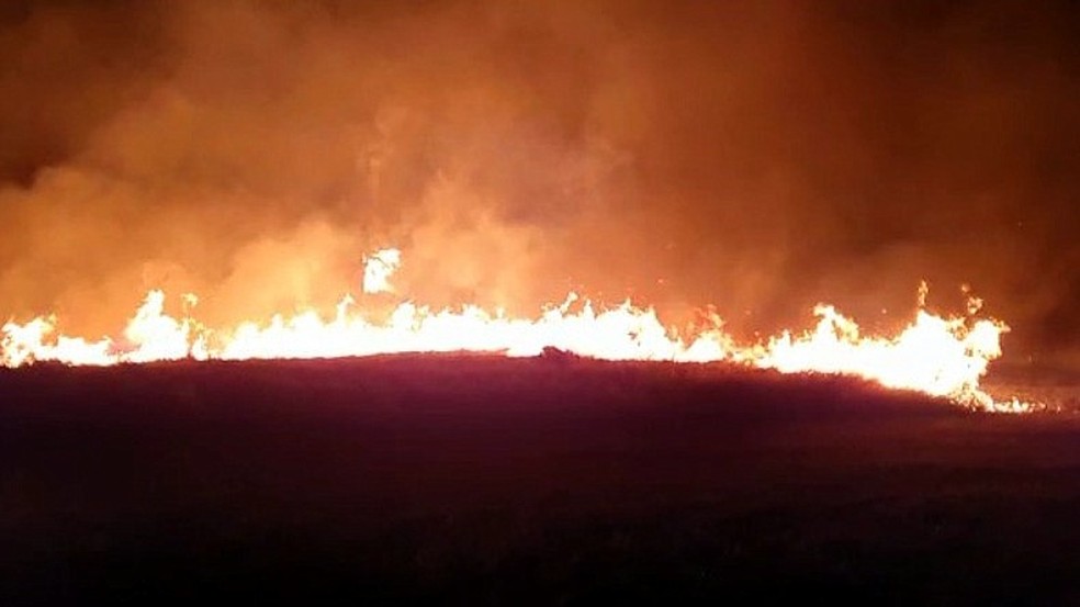 Incêndio de grandes proporções em Araraquara atinge Parque Pinheirinho — Foto: Redes sociais