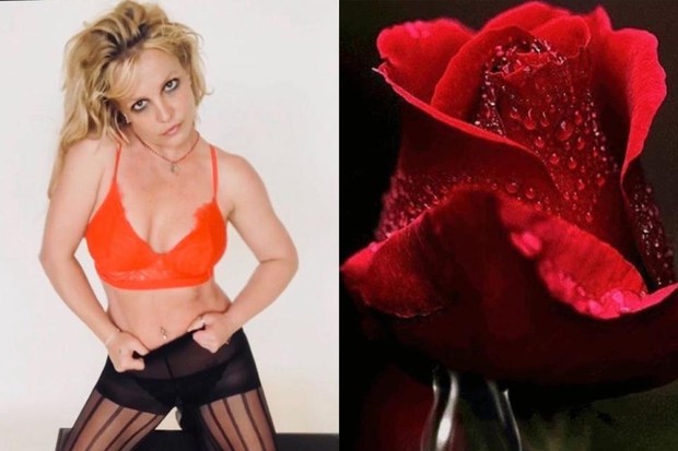 Britney Spears fez novos posts misteriosos (Foto: Reprodução/ Instagram)
