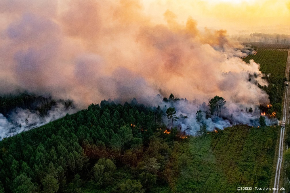 Incêndio florestal perto de Landiras, sudoeste francês, neste sábado (16). — Foto: SDIS 33 via AP