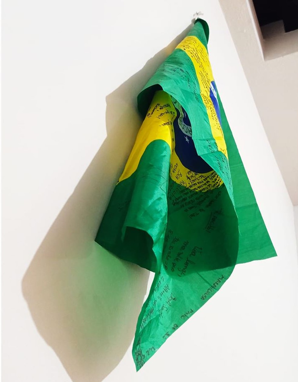 Brasileira tenta voltar para casa desde março, quando Peru fechou as fronteiras — Foto: Reprodução/Facebook