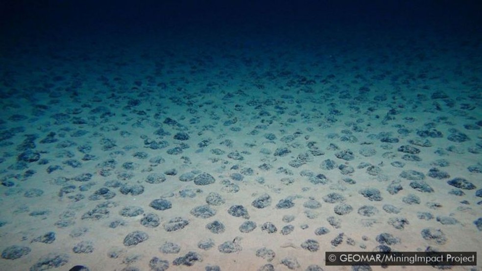 Nódulos polimetálicos encontrados no sudeste do Oceano Pacífico ao longo do Peru — Foto: GEOMAR/MININGIMPACT PROJECT