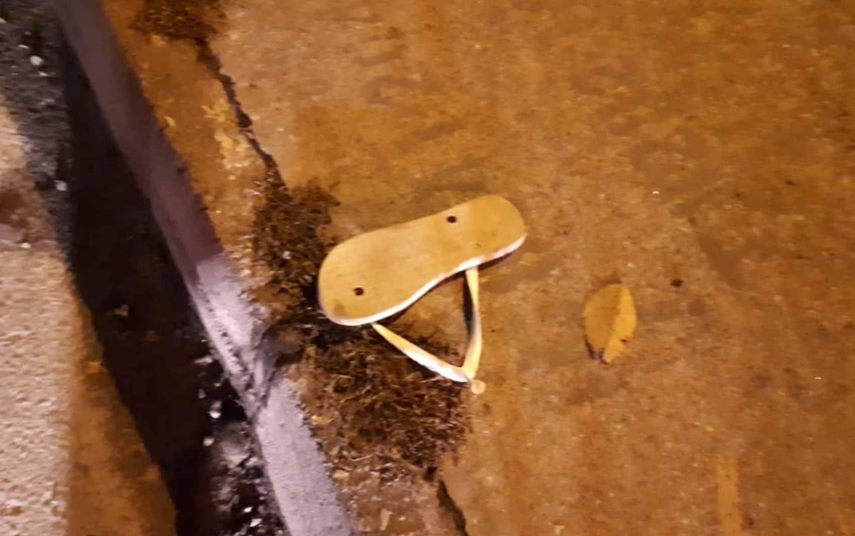 Adolescente tropeça no chinelo e morre atropelado ao tentar cruzar BR-153, em Goiânia