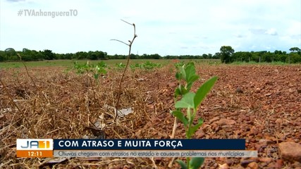 Chuvas chegam com atraso no Tocantins e causam problemas em municípios