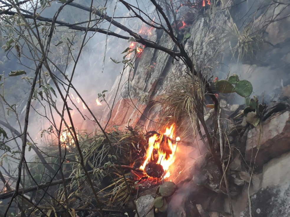 IncÃªndio de grandes proporÃ§Ãµes atinge Ã¡rea de vegetaÃ§Ã£o na Chapada Diamantina, na Bahia â Foto: Corpo de Bombeiros Militar da Bahia 