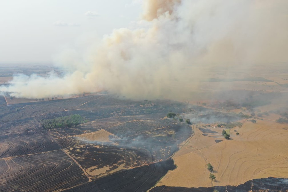 Incêndio em vegetação atingiu 400 mil metros quadrados e formou nuvem gigante de fumaça em Junqueirópolis — Foto: Márcio Cabanhas