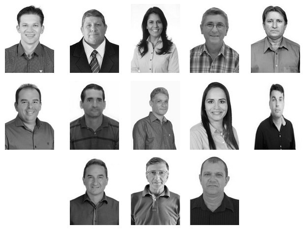 Prefeitos eleitos na Zona da Mata de Rondônia (Foto: Arte G1)