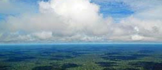 Amazônia na pauta do governo americano