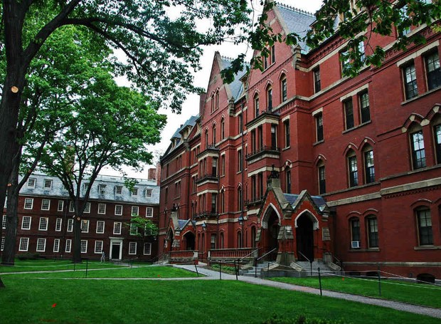 Universidade de Harvard (Foto: Reprodução/forbes)
