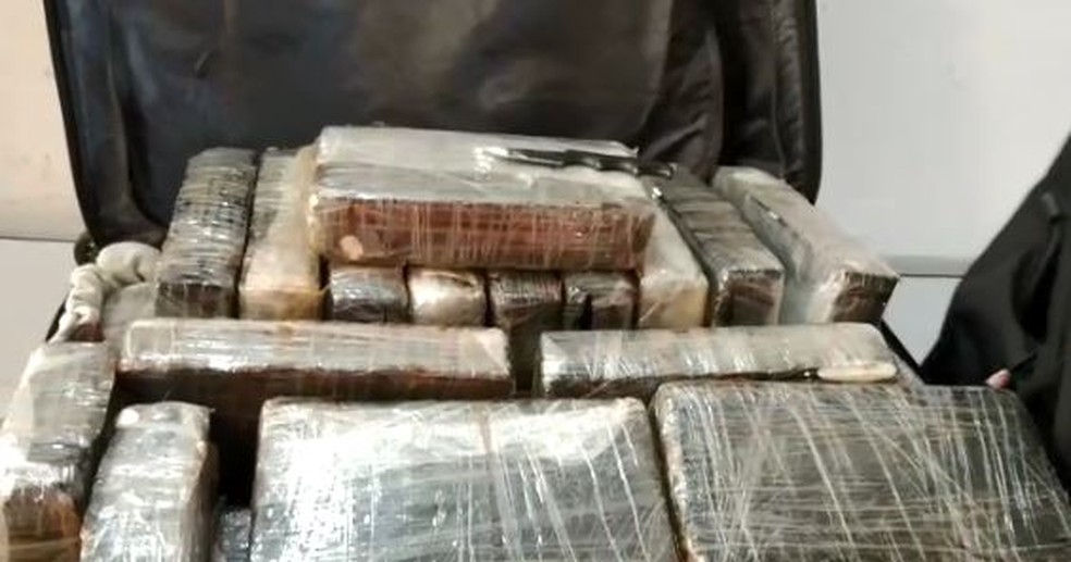 Em maio, PF apreendeu cocaína que quadrilha tentava embarcar para Portugal — Foto: Polícia Federal/Divulgação