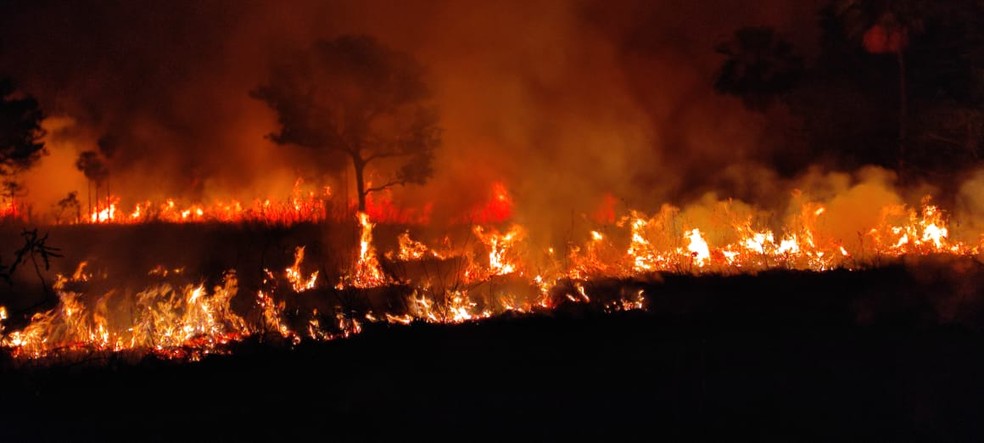 Incêndio na região do Rio Negro, no Pantanal de MS — Foto: Leonardo Gomes/ SOS Pantanal
