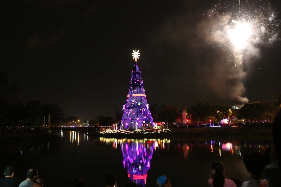 Árvore de Natal refletida no lago do Ibirapuera, em São Paulo. — Foto: RENATO S. CERQUEIRA/FUTURA PRESS/ESTADÃO CONTEÚDO