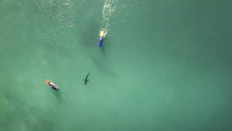 Etapa de J-Bay entra para a história: tubarões, festival de 10 e mar perfeito