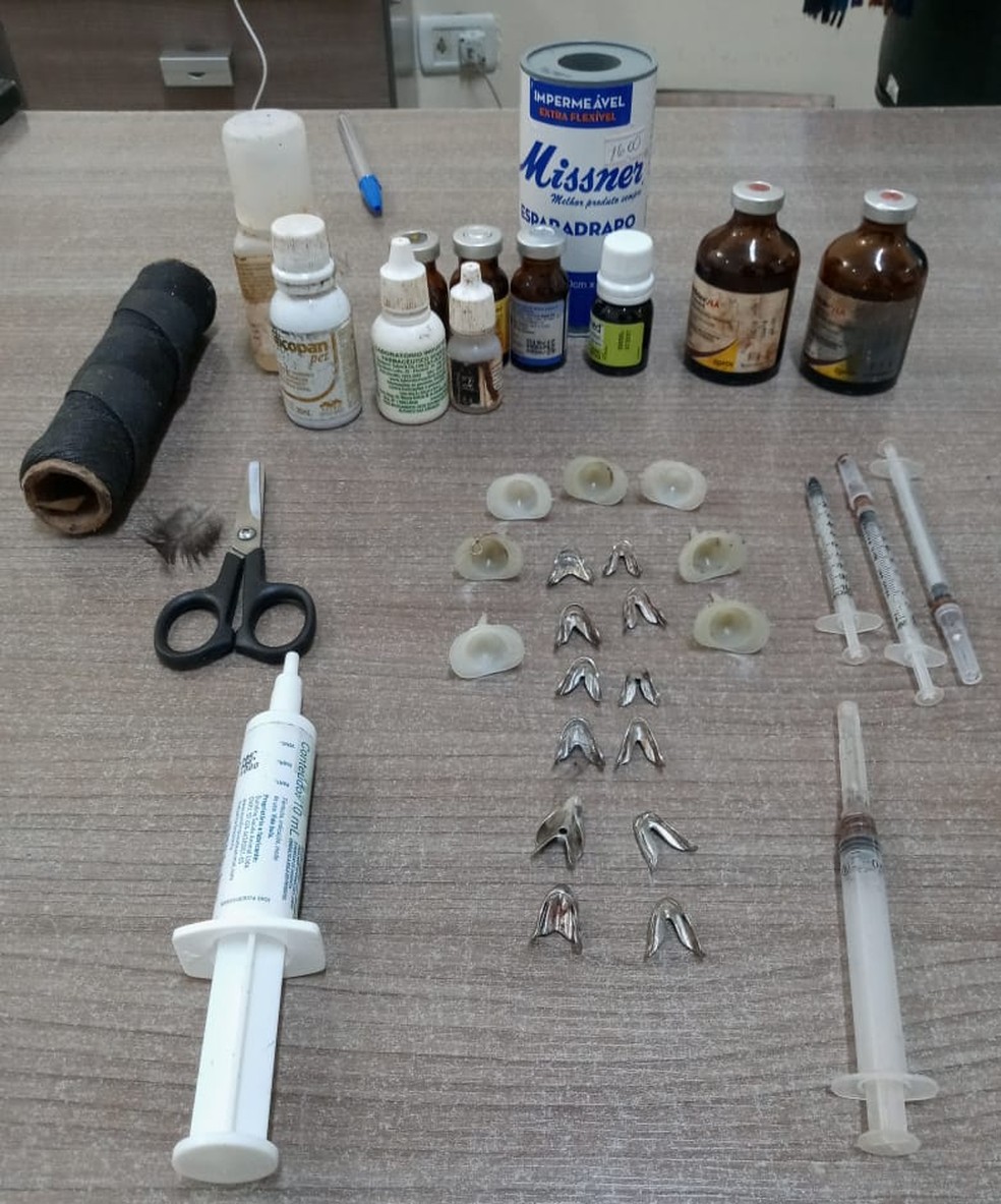 Materiais e medicamentos para tratar os animais feridos nas brigas também foi apreendido: crime ambiental — Foto: Polícia Ambiental/Divulgação