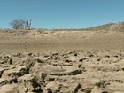 Em Serra Talhada, PE, reservatórios estão vazios e prejudicam plantações