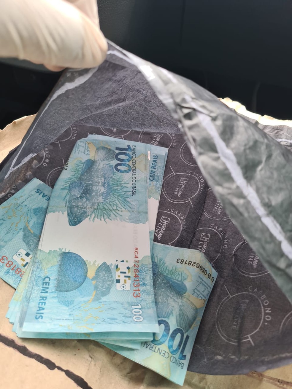 Polícia Federal apreende notas falsas após entrega dos Correios na Zona Sul de Teresina — Foto: Divulgação/PF-PI