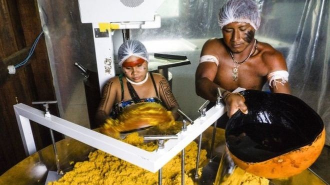 Miniusina dentro de aldeia da Terra Indígena Wawi transforma a polpa do pequi em óleo; 2018 teve produção recorde e exportações para os Estados Unidos (Foto: ROGÉRIO ASSIS/ISA, via BBC News Brasil)
