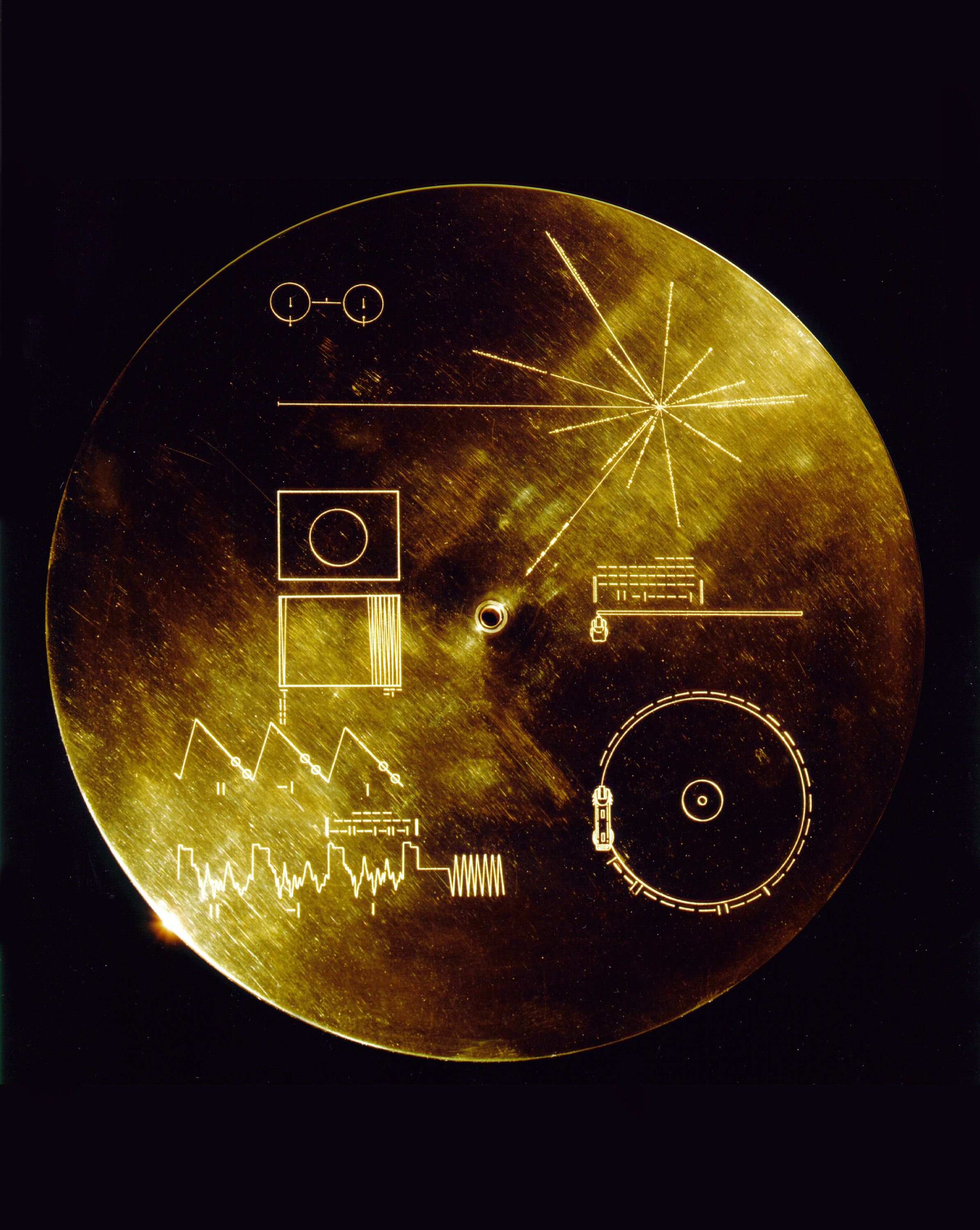 Cada disco dourado tem 115 imagens da vida na Terra (Foto: Nasa)