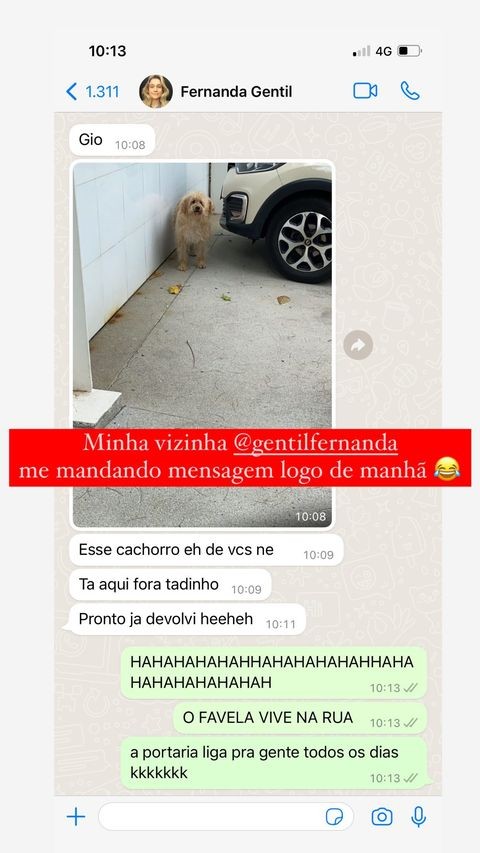 Print da conversa entre Fernanda Gentil e Giovanna Ewbank sobre o cachorro 'fujão' (Foto: Reprodução Instagram)