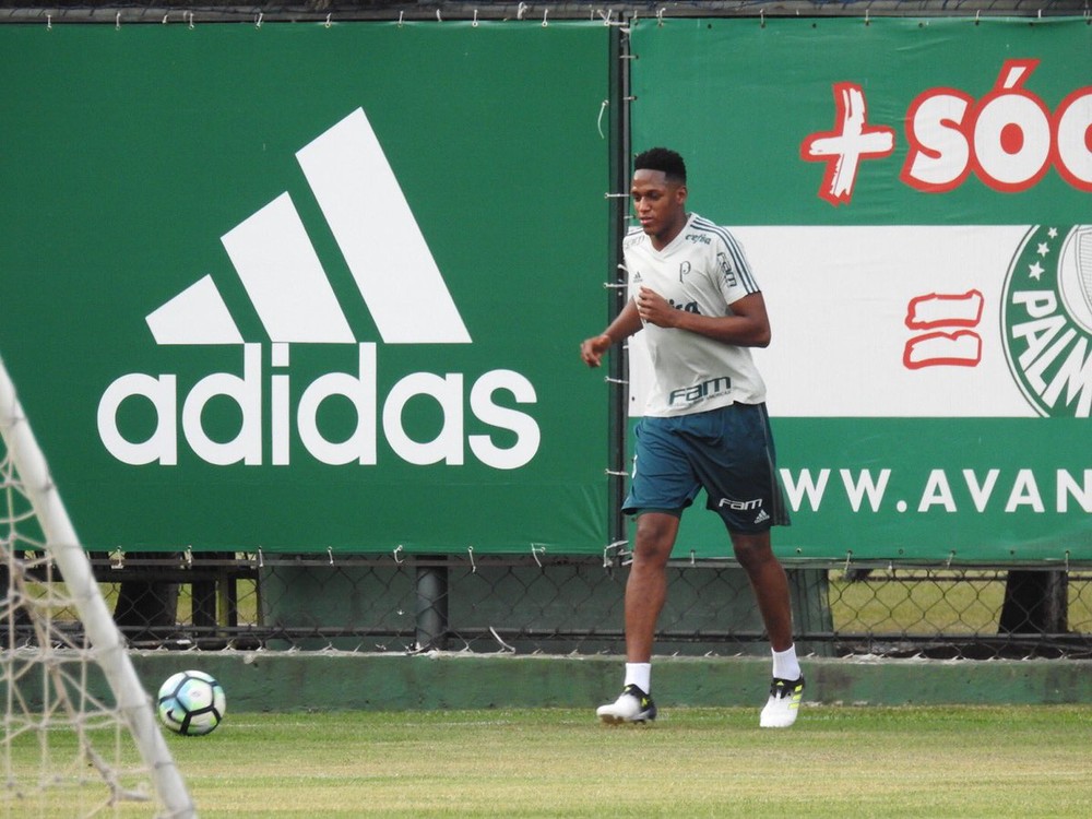  Em recuperação de fratura, Mina corre em campo; veja como está o DM do Palmeiras