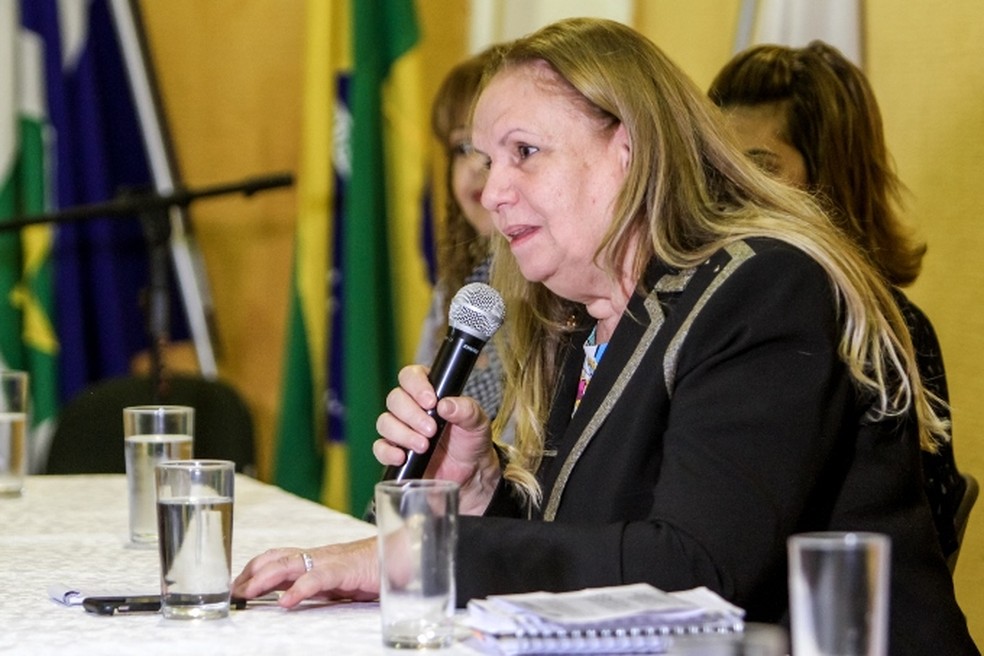 Desembargadora Maria Erotides Kneip participou da discussão — Foto: Defensoria Pública de MT/ Assessoria