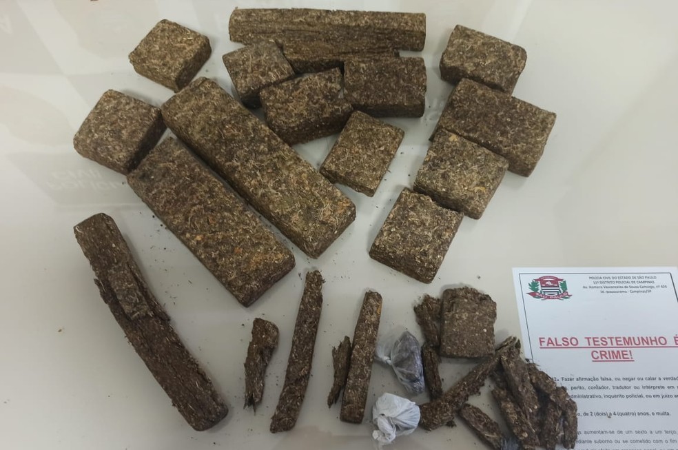 Pol&iacute;cia Civil prende suspeito de tr&aacute;fico de drogas e apreende 6 kg de maconha em Campinas &mdash; Foto: Pol&iacute;cia Civil/Acervo