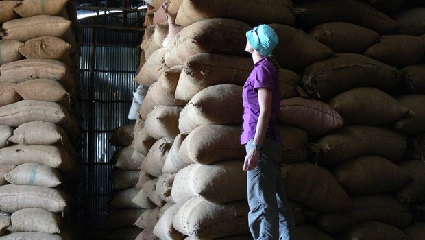 O café arábica é o mais consumido do planeta (Foto: AARON DAVIS/ RBG KEW (via BBC) )