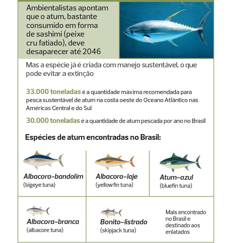 peixes-piscicultura-especies-criacao-cativeiro (Foto: Filipe Borin/Ed. Globo)