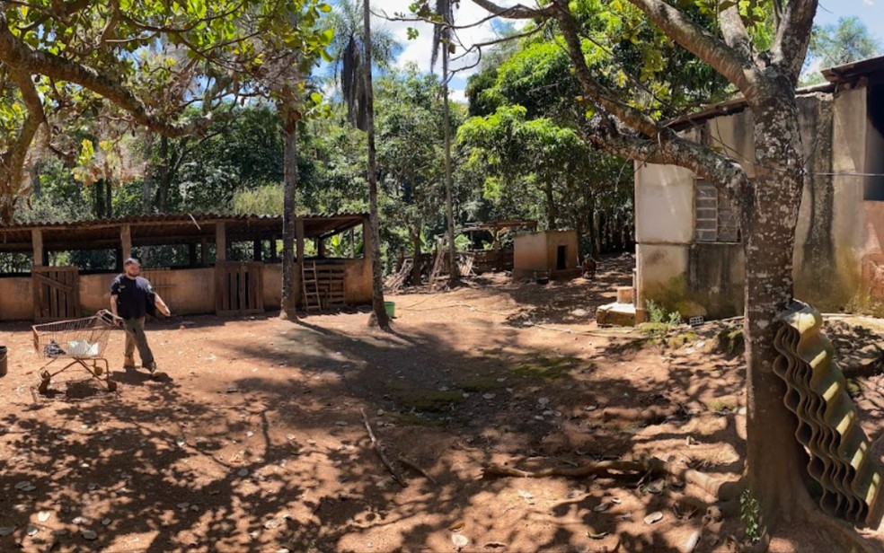 Alojamento onde trabalhadores dormiam fica ao lado de chiqueiro, em Novo Gama, Goiás — Foto: Reprodução/MPT