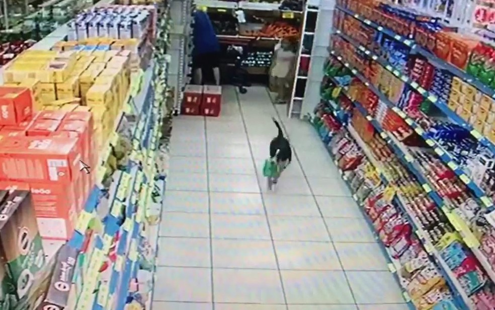 Cachorro sai com pacote de rosquinhas de coco de supermercado em Morro Agudo, SP — Foto: Câmeras de segurança/Reprodução
