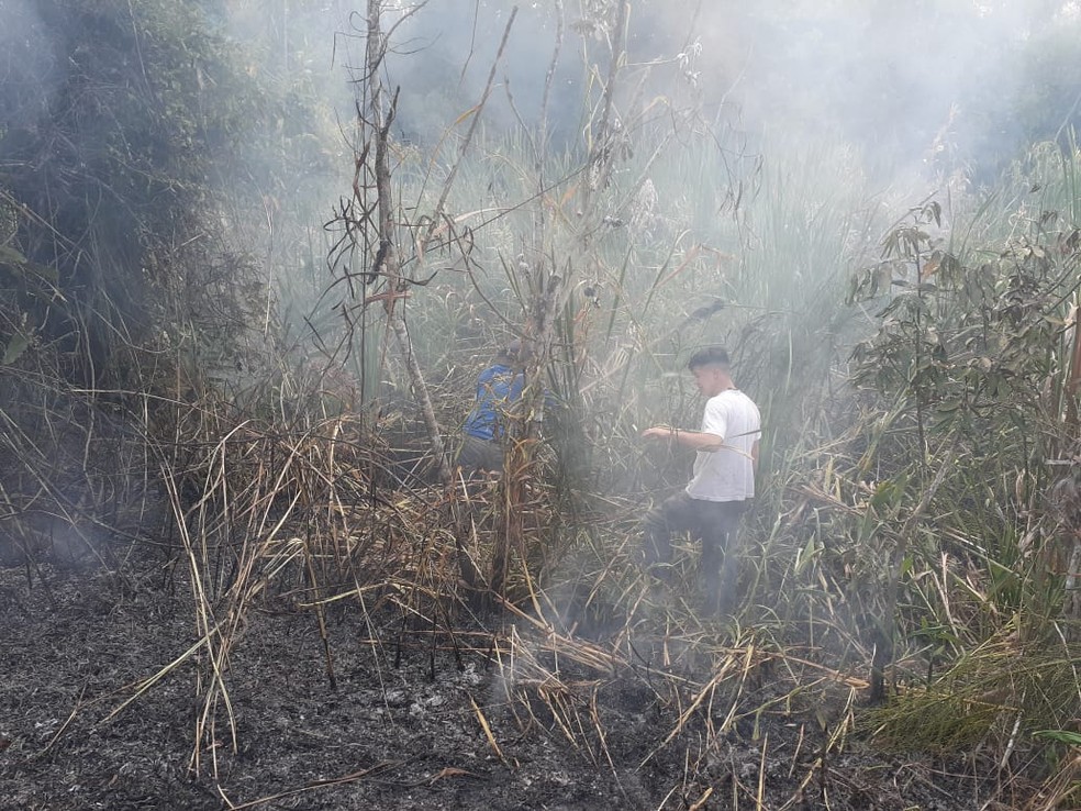 Área de vegetação queimada na reserva em Avaí ainda será contabilizada — Foto: Tiago Nhandewa/Arquivo pessoal